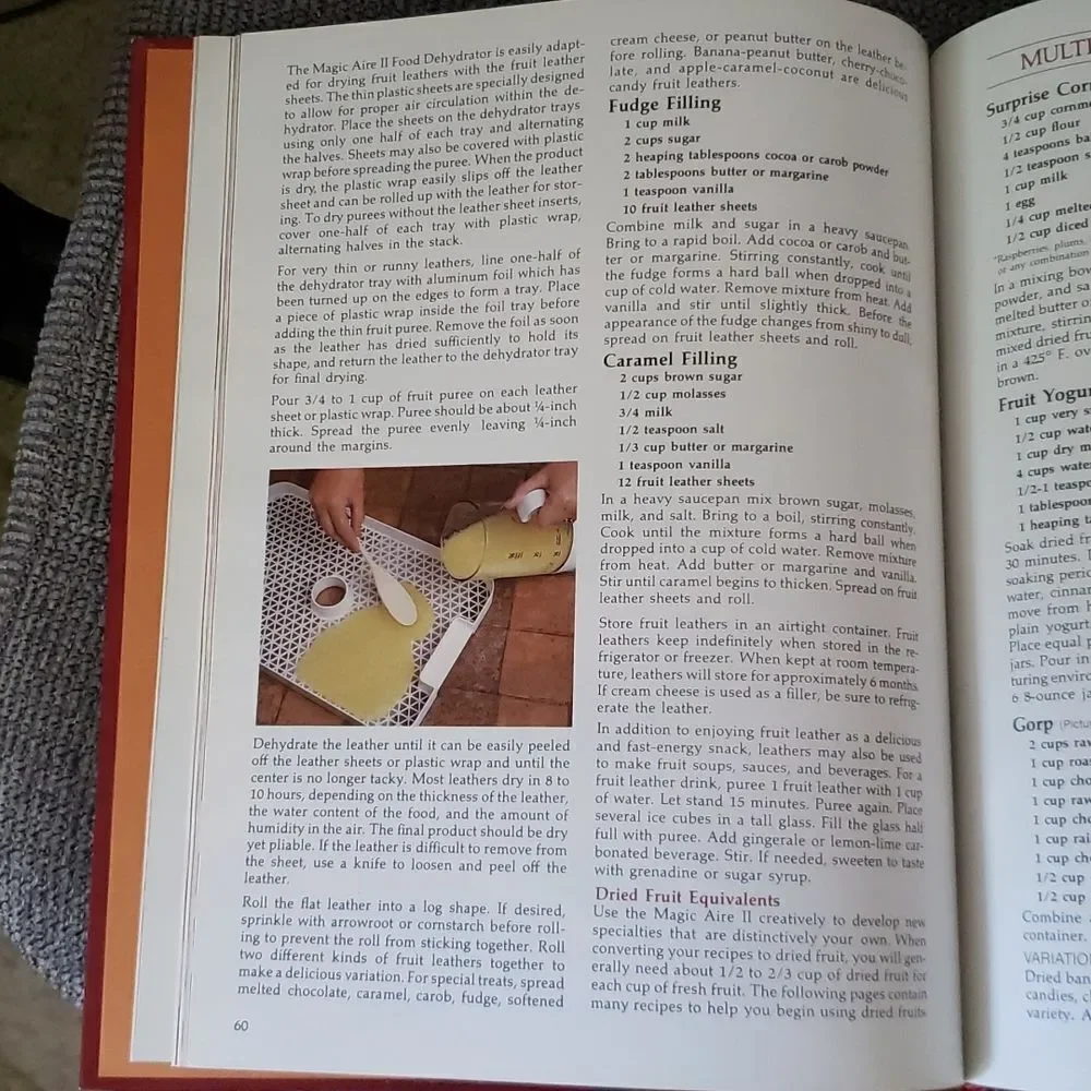 Vintage Cookbook - Dehydration Made Simple (1981)